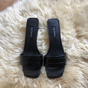 SENSO :: MAISY MULES